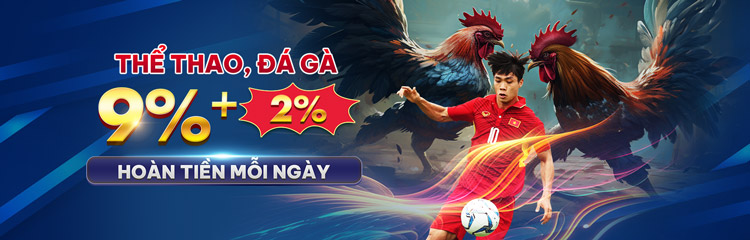 PBV88CASINOVIP SPORTS COCKFIGHTING: 11% DAILY CASHBACK